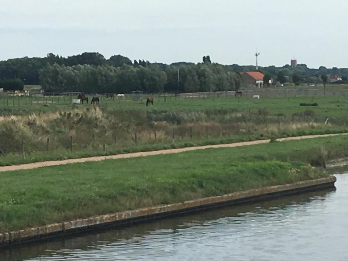 Appartement Entre Dunes Et *