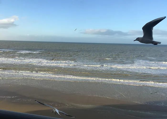 Entre Dunes Et Mer